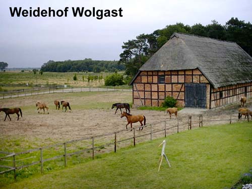 Weidehof