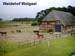 Weidehof