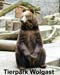 tierpark1