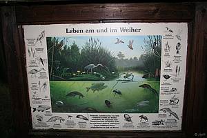 naturlehrpfad_drei