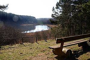 Schwanenteich Gross