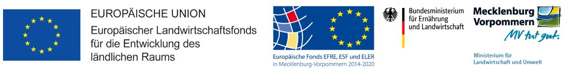 Berliner See Logo 1