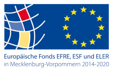 Logo_EFRE_MV_icon